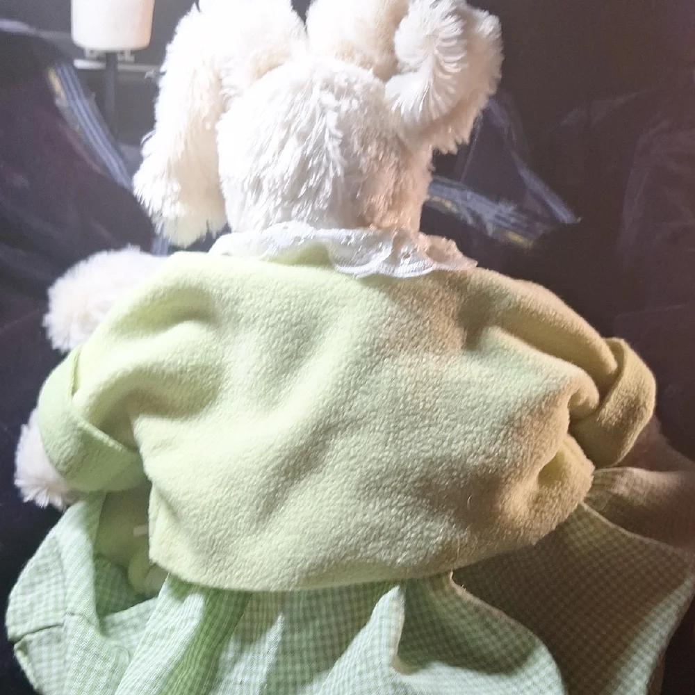 Adorable Green and White Bunny Plush Toy - Picture 10 of 12